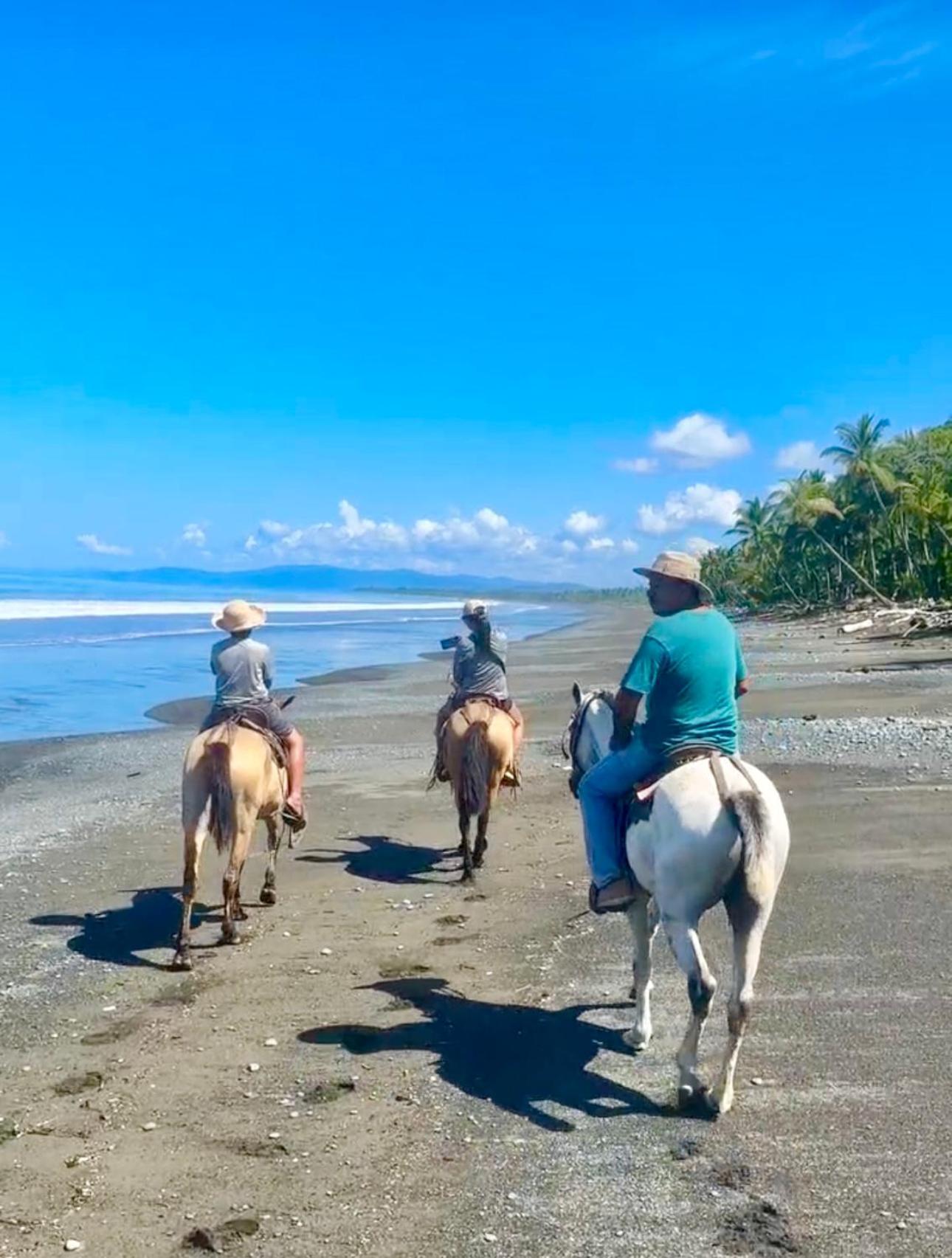 Coloso Del Mar Zancudo المظهر الخارجي الصورة